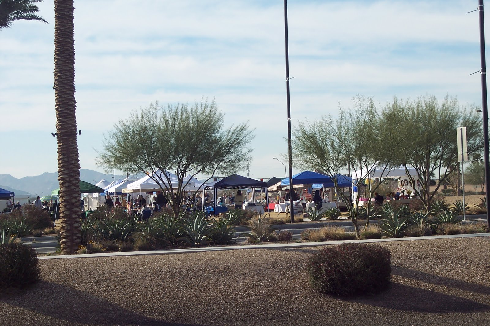 RV Having Fun Goodyear City Market and Ballpark