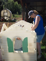 playhouse chicken coop into step creative cost health priceless sister