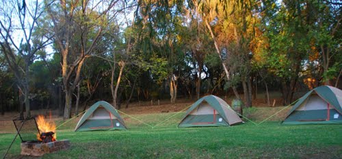 Tented Accommodation in Gauteng