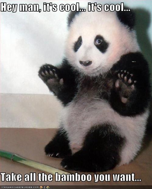 http://1.bp.blogspot.com/_UT72dG7KG5k/TR46nGEJ6mI/AAAAAAAAAGQ/FBIaMoj6tBc/s1600/hilarious-jokes-funny-panda.jpg