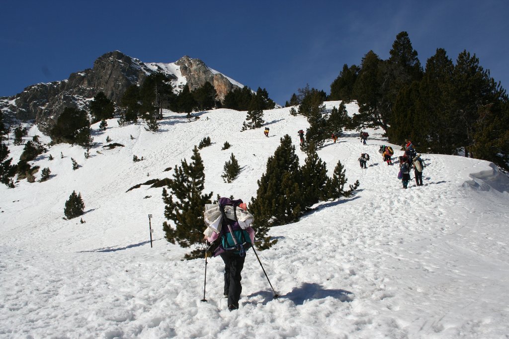 [IMG_3603-799564.JPG]