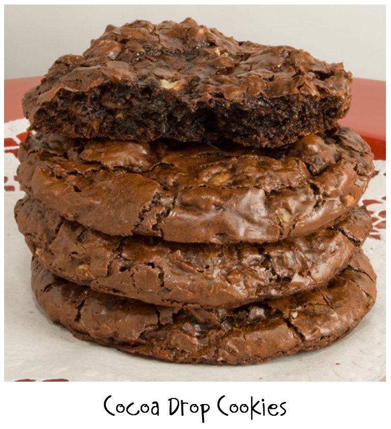 Prepared NOT Scared! Mix Recipe 18 Chocolate Cocoa Drop Cookies!