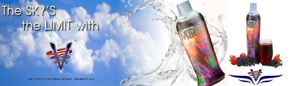 Velocity International Marketing