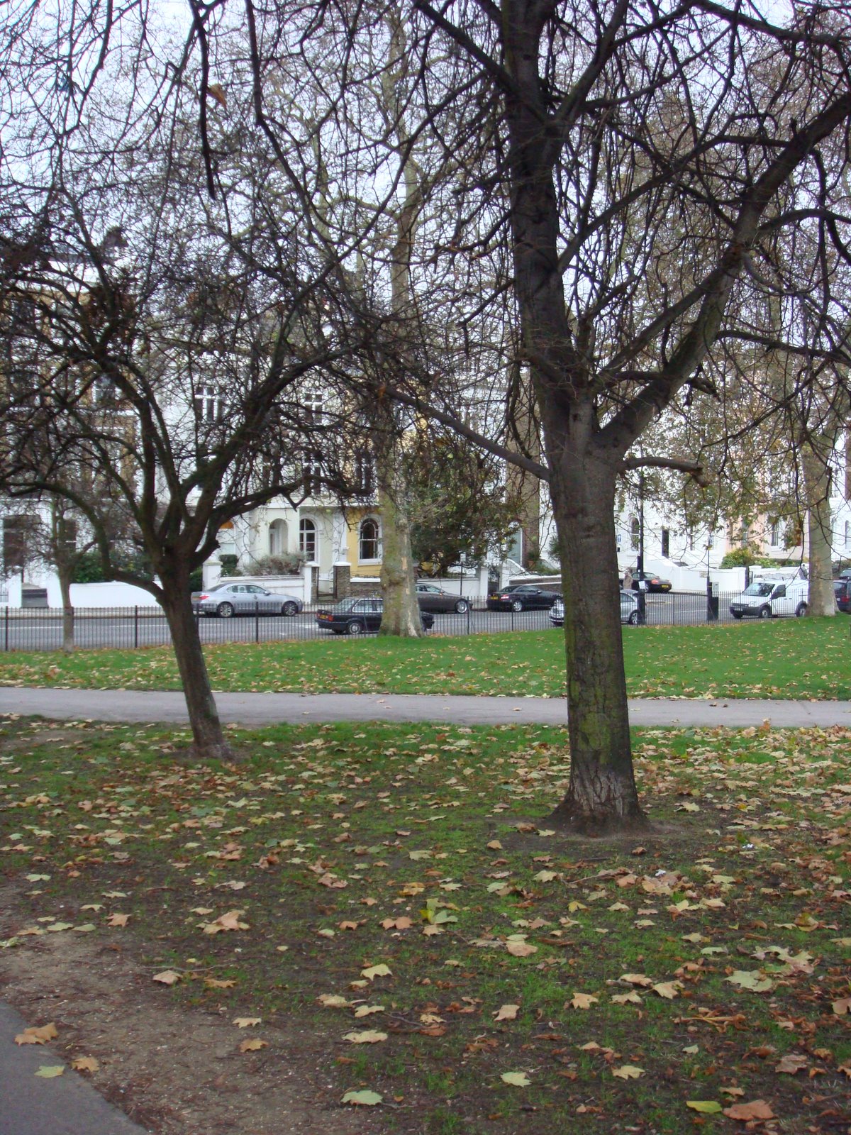 [DSC00301.JPG]