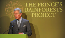The Prince's Rainforest  Projet