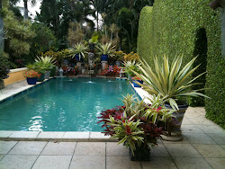 pool plants landscaping potted florida deck pools patio blooms outdoor decks lighting garden permission reproduce ketchum glenn photograph robert form