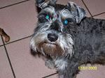My other angel - Gabriel