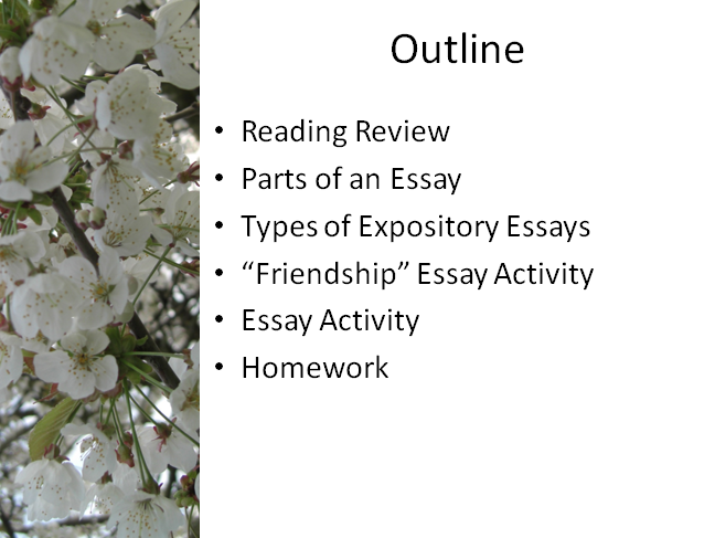Expository essay about friendship