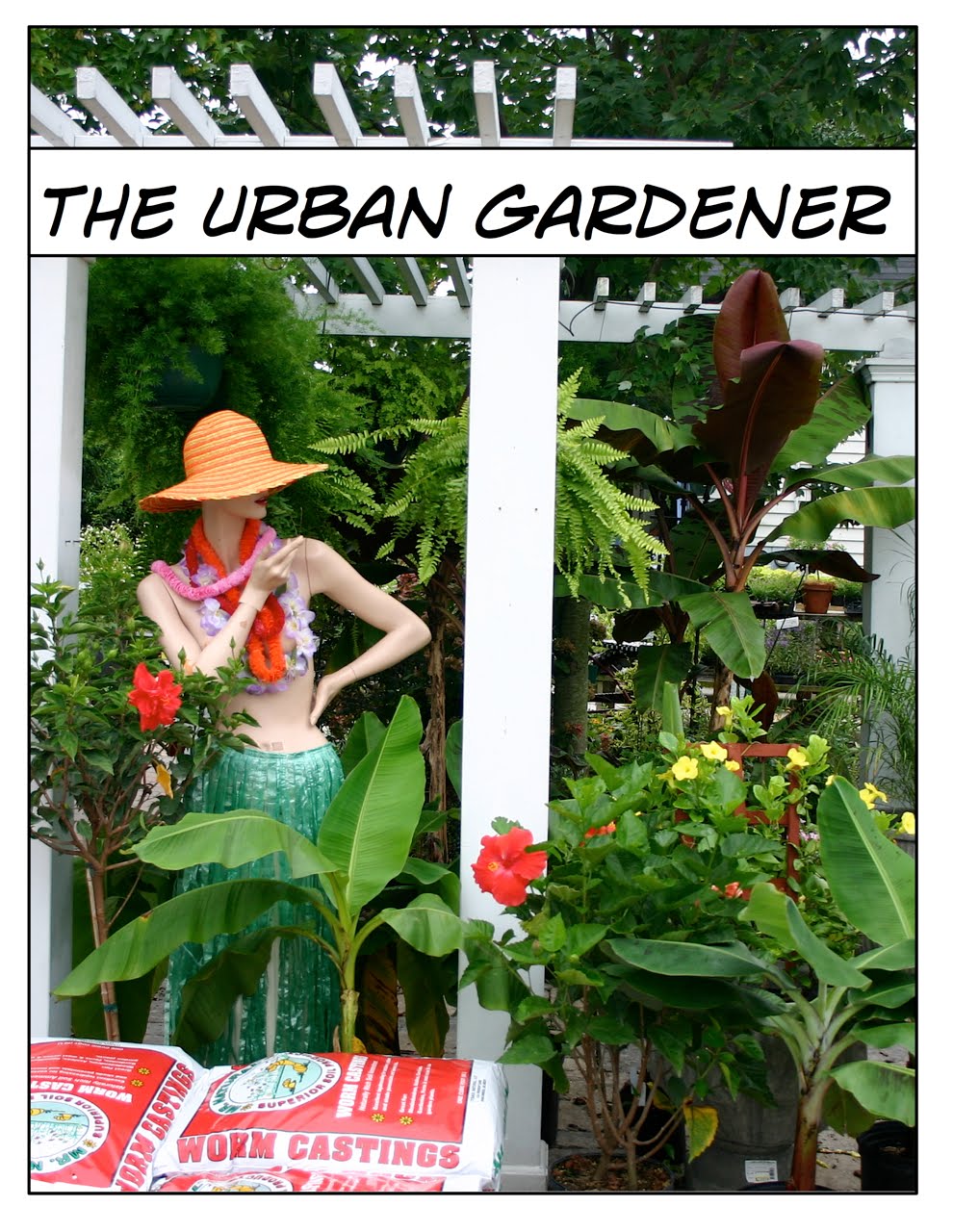 [the+urban+gardener.jpg]