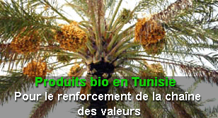 faire rencontres tunisie