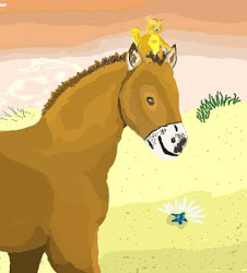 Cover Art Second Book