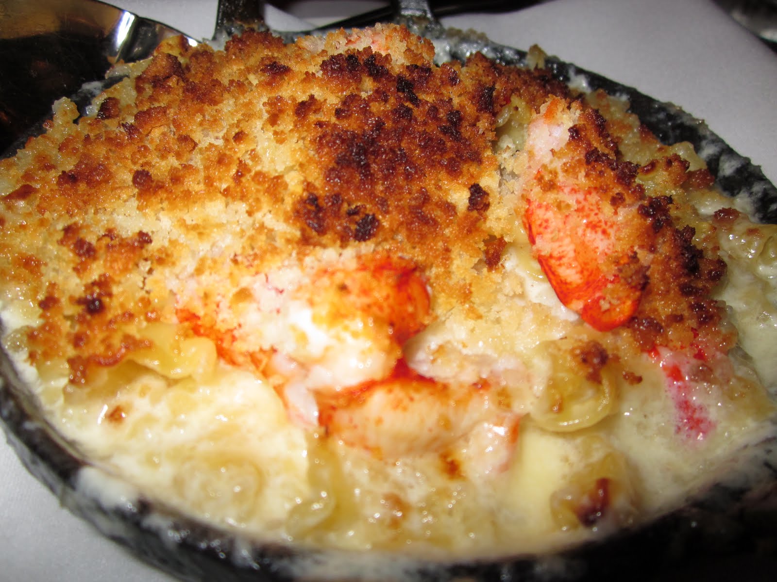 nj eats Capital Grille MacnCheese with Real Lobster!