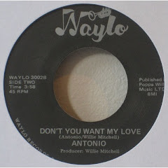 ANTONIO - don't you want my love 198x