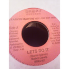 STARVIN MARVIN - lets do it 1987
