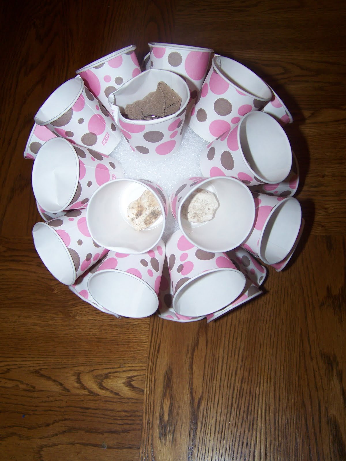 Egg Drop Project Easy