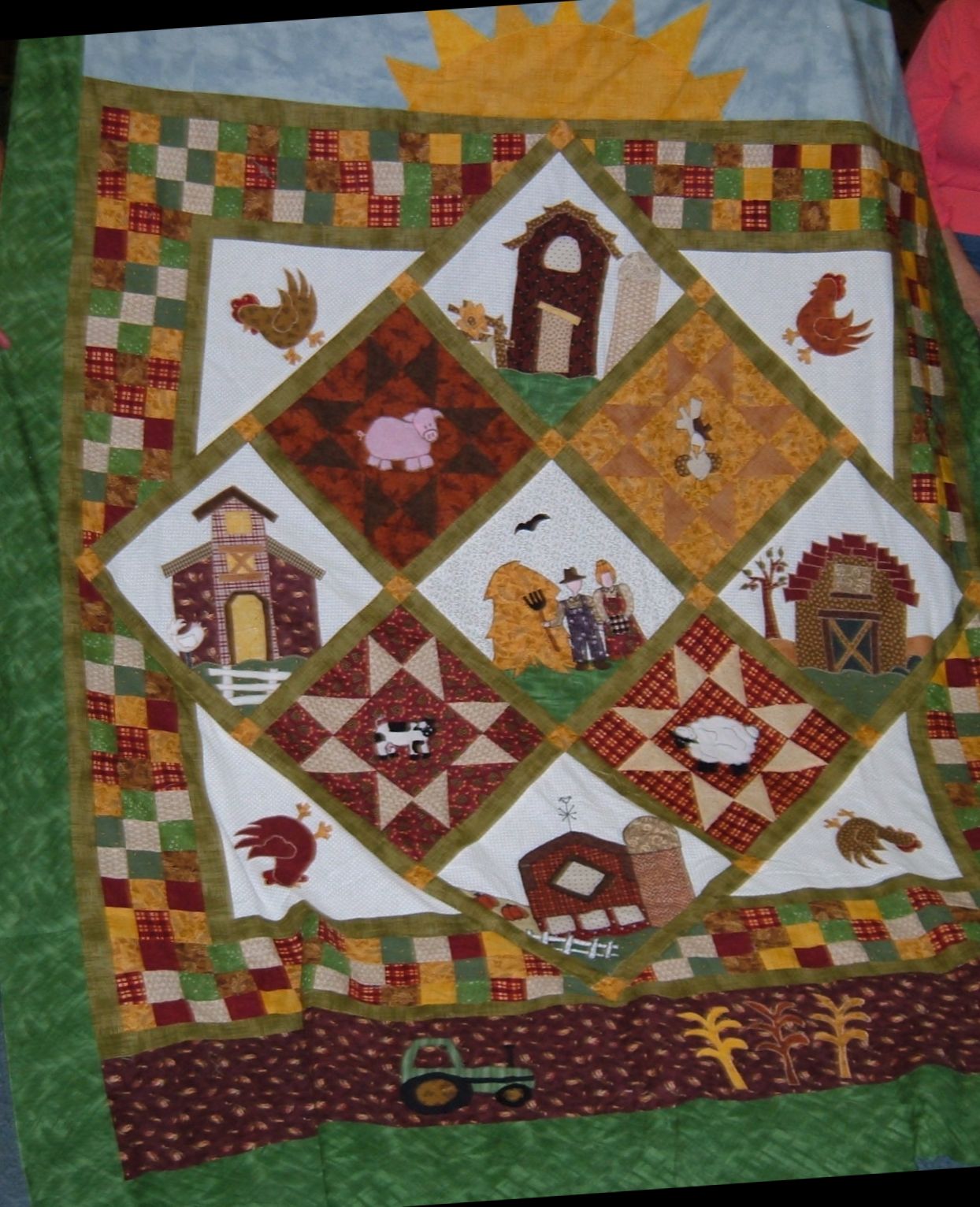 Mountain Valley Gunnison, Ut. Quilt Guild June 2010