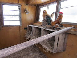 chicken recycled coop farm coops farmer ware chickens trailer