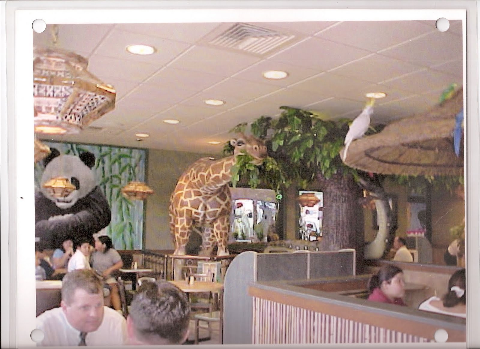 Matthew Drews Design Portfolio McDoanld's Zoo Store Dallas , TX