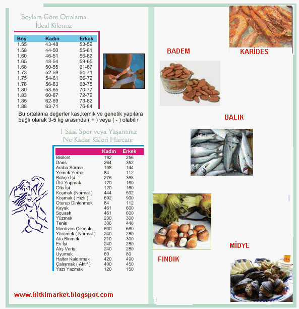 [DENİZ+ÜRÜNLERİ+VE+KURUYEMİŞLER+KALORİ.GIF]