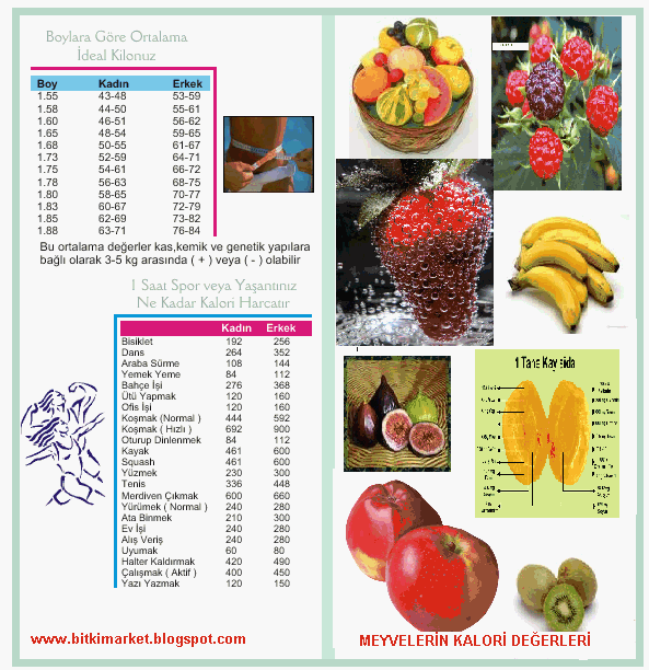 [meyvelerin+kalori+değerleri.GIF]