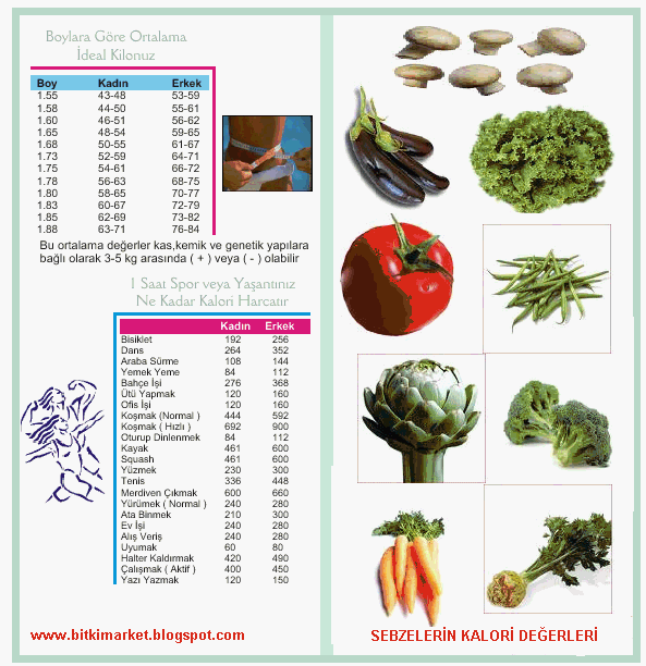 [SEBZELERİN+KALORİ+DEĞERLERİ.GIF]