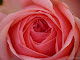 Ma photo