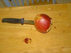 The Ginsu Incident