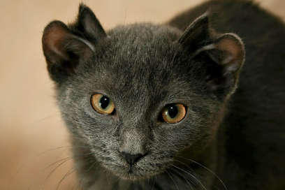 [1219264754653.JPEG]