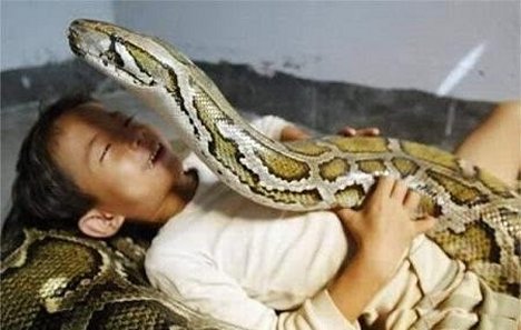 [snake5.jpg]