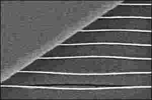 [worlds_smallest_musical_instruments_5.jpg]