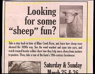 [some_crazy_ads_4.jpg]