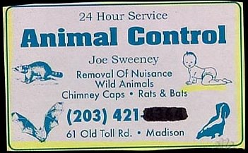 [some_crazy_ads_7.jpg]