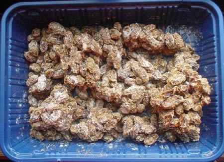 [strangest_foods_9.jpg]