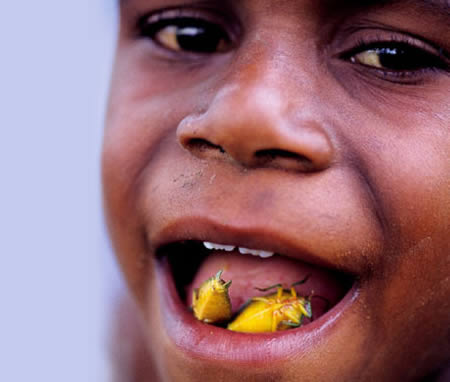 [strangest_foods_3.jpg]