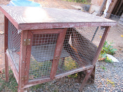 rabbit coop hutch chicken into