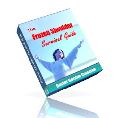 This Book Really Helped Me Beat My Frozen Shoulder - It Might Help You Too
