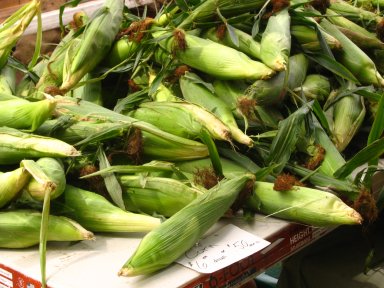 [Milho_Mercado_Boston.jpg]