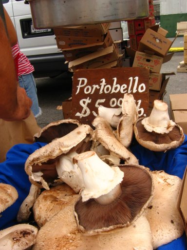 [Portobello_Cogumelos.jpg]