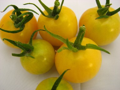 [Tomates_cereja_3.jpg]