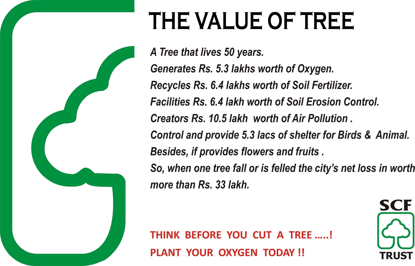 TADOBA JUNGLE Value of Tree