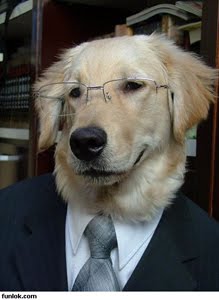 [educated-dog-wearing-suit-and-tie.jpg]