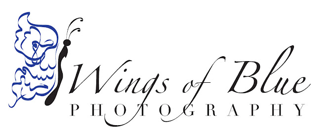 Wings of Blue Photography ~ Custom Wedding and Portrait Photographer in  Elko, NV