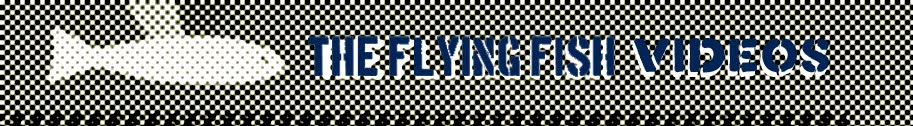 flying videos
