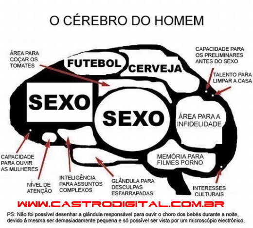 [escaneamento_cerebro_homem.jpg]