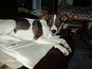 Minhas amiguinhas e amiguinho