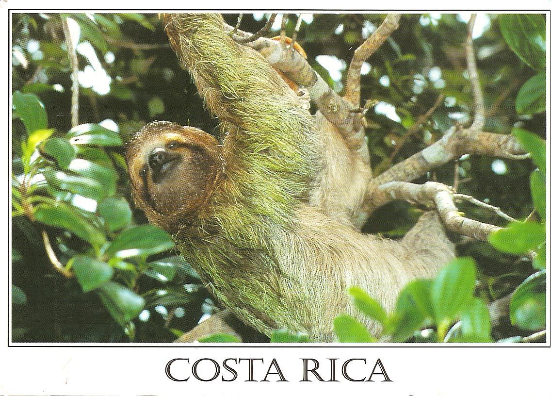 [COSTA+RICA+febr18010.jpg]