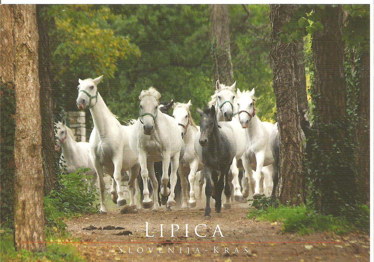 [SLOVENIA+febr15010.jpg]