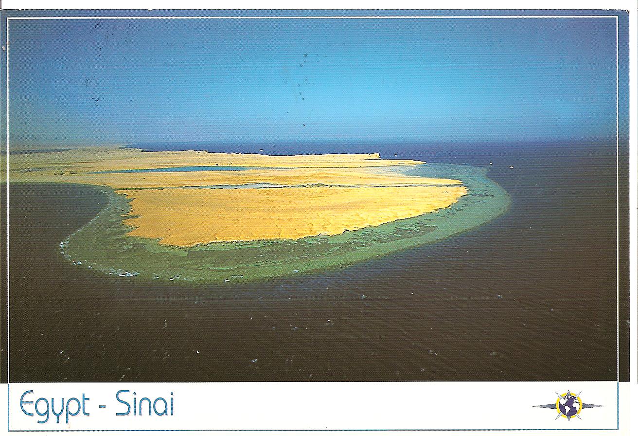 [EGYPT+febr23010.jpg]