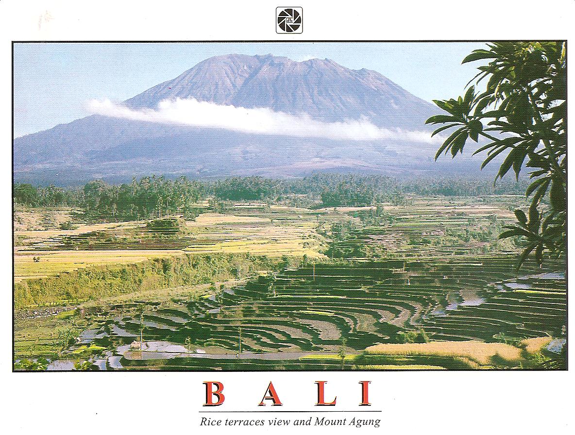 [BALI+march+309+009.jpg]