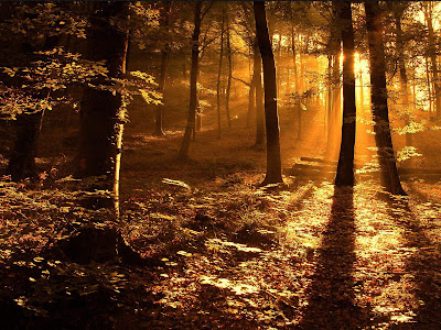 Autumn wallpapers